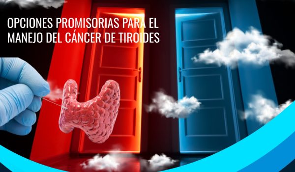 WhatsApp-Image-2023-03-02-at-12.18.36-1